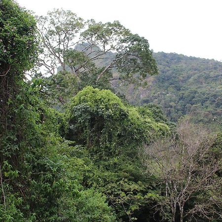 Mamallena Eco Lodge La Laguna de San Carlos Ngoại thất bức ảnh