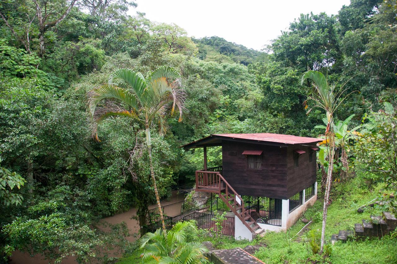 Mamallena Eco Lodge La Laguna de San Carlos Ngoại thất bức ảnh