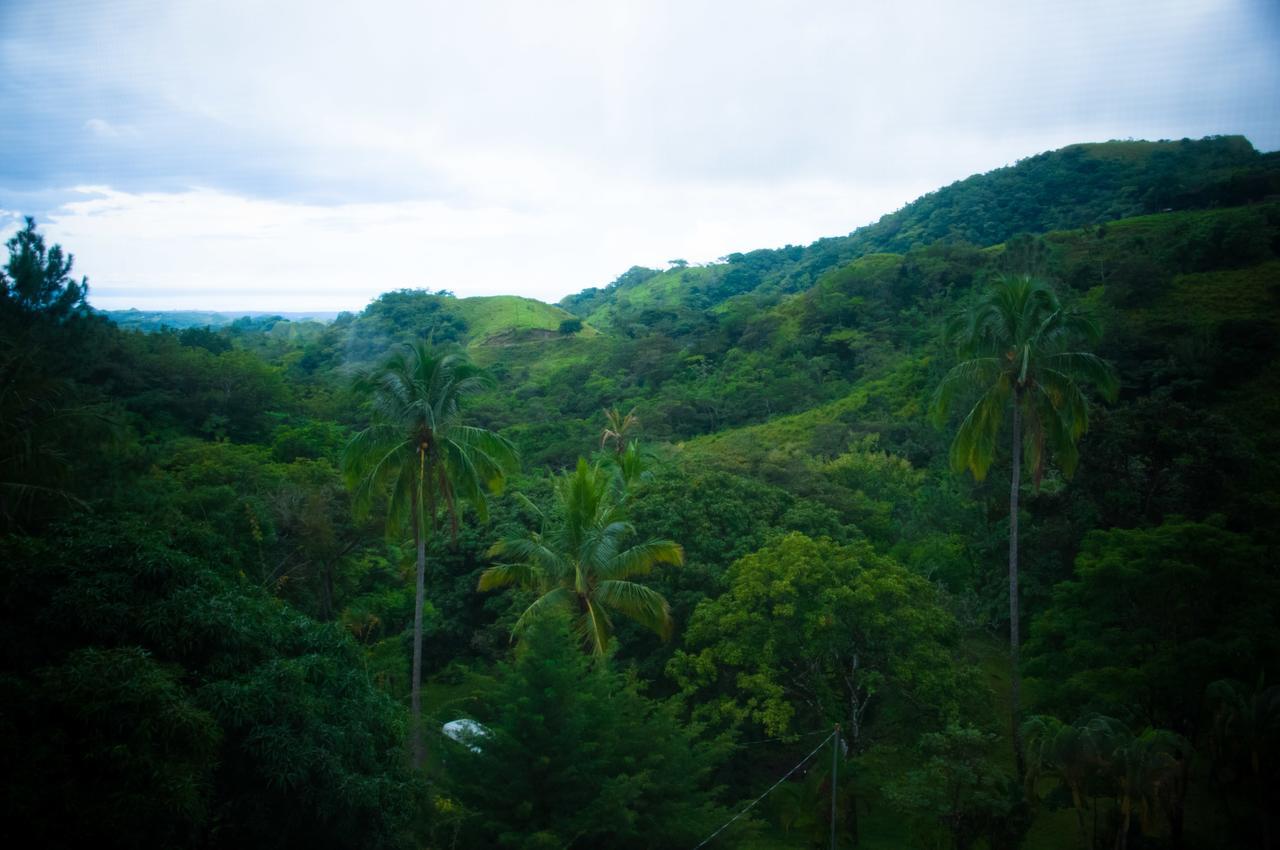 Mamallena Eco Lodge La Laguna de San Carlos Ngoại thất bức ảnh