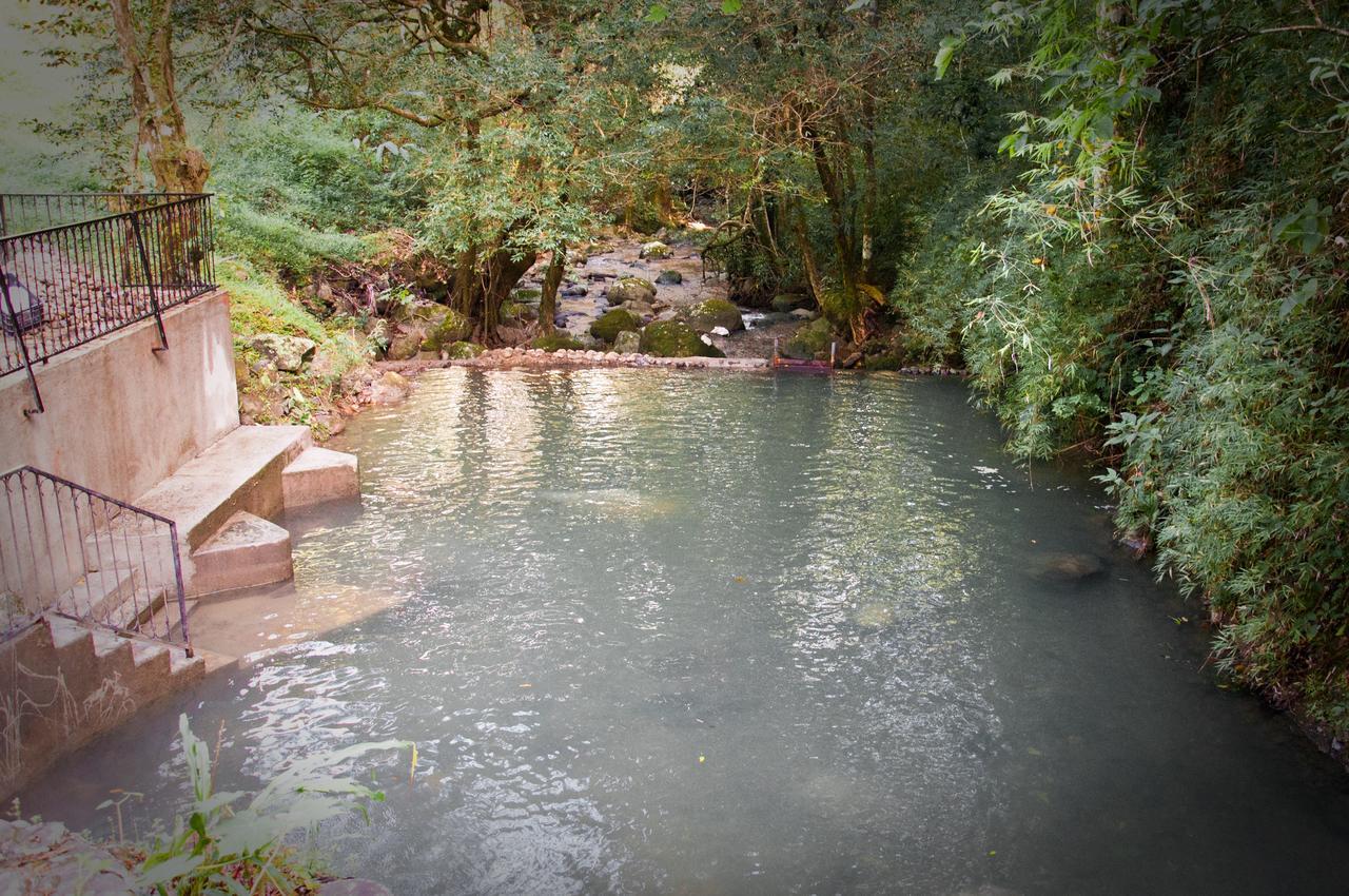 Mamallena Eco Lodge La Laguna de San Carlos Phòng bức ảnh