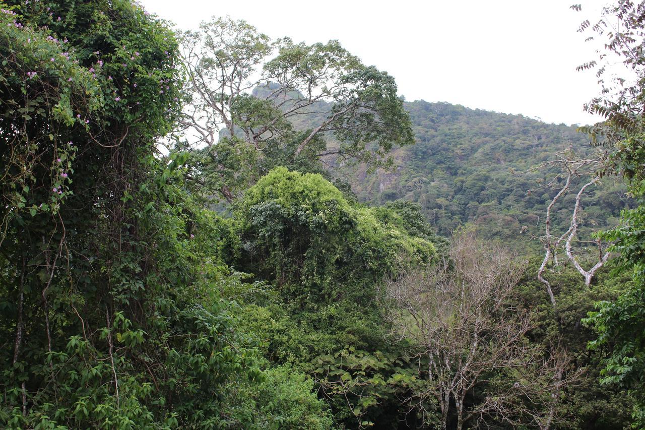 Mamallena Eco Lodge La Laguna de San Carlos Ngoại thất bức ảnh