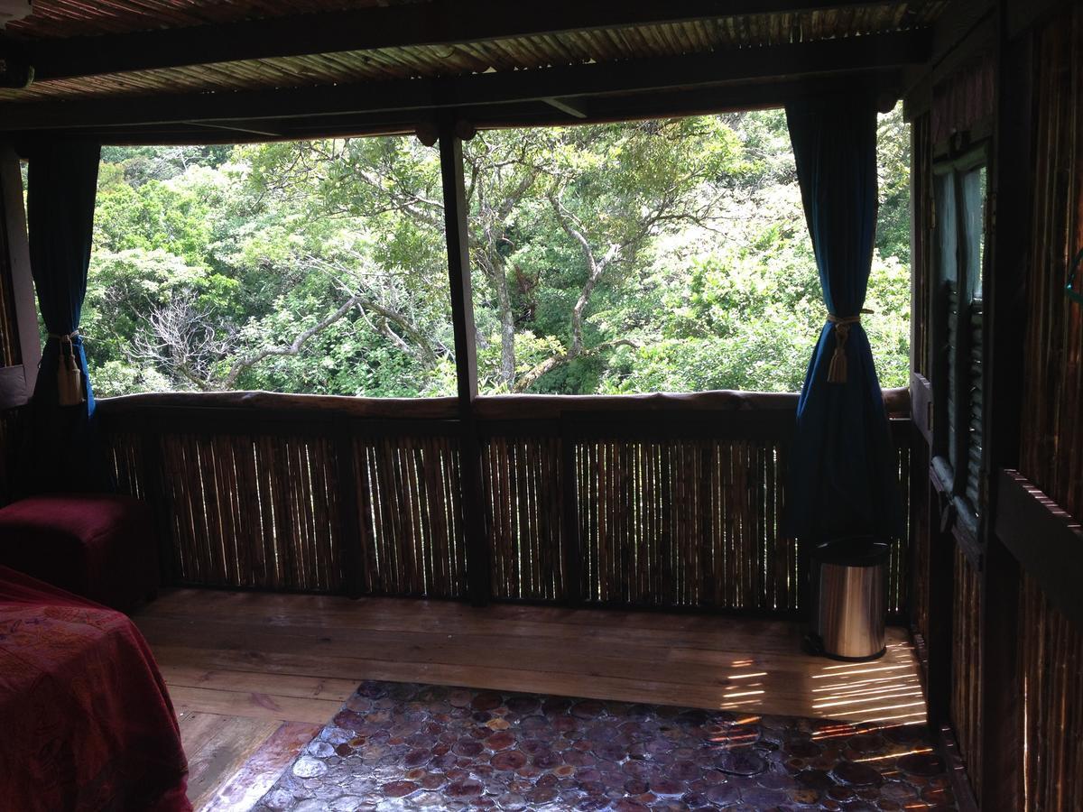 Mamallena Eco Lodge La Laguna de San Carlos Ngoại thất bức ảnh
