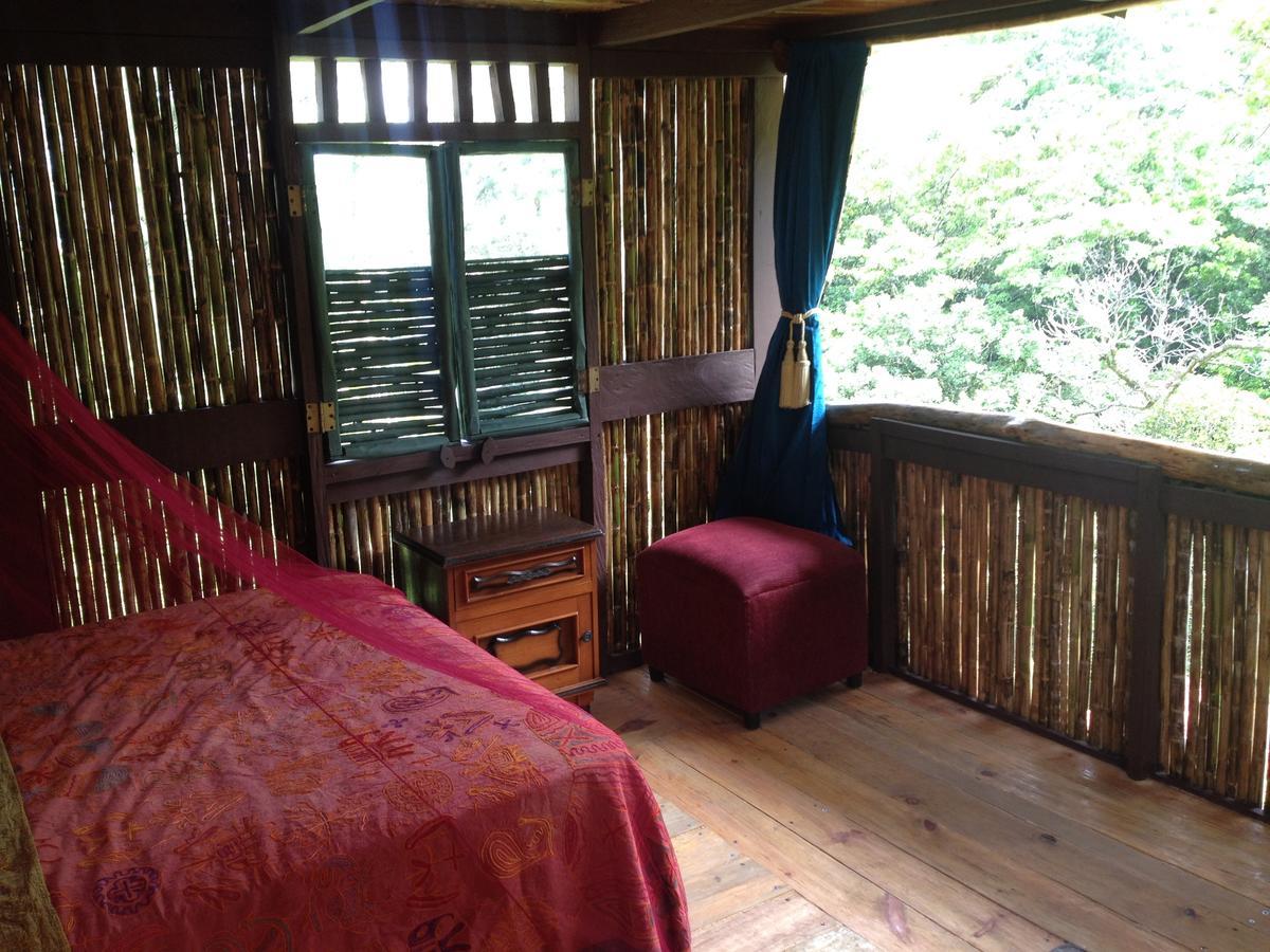 Mamallena Eco Lodge La Laguna de San Carlos Ngoại thất bức ảnh