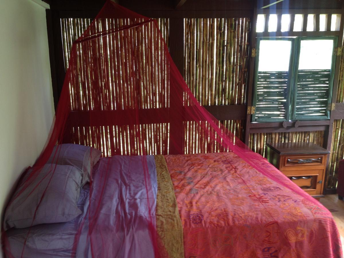 Mamallena Eco Lodge La Laguna de San Carlos Ngoại thất bức ảnh