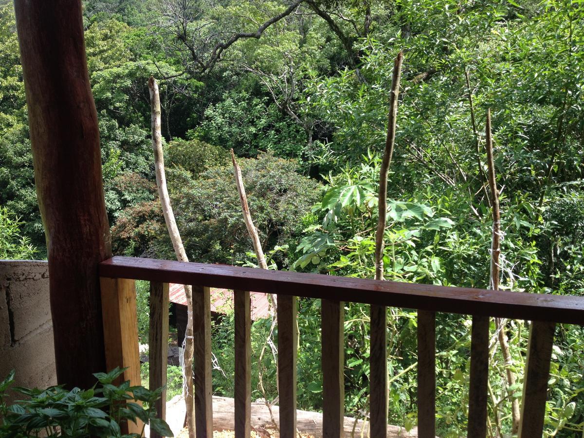 Mamallena Eco Lodge La Laguna de San Carlos Ngoại thất bức ảnh