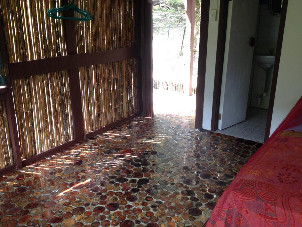 Mamallena Eco Lodge La Laguna de San Carlos Ngoại thất bức ảnh