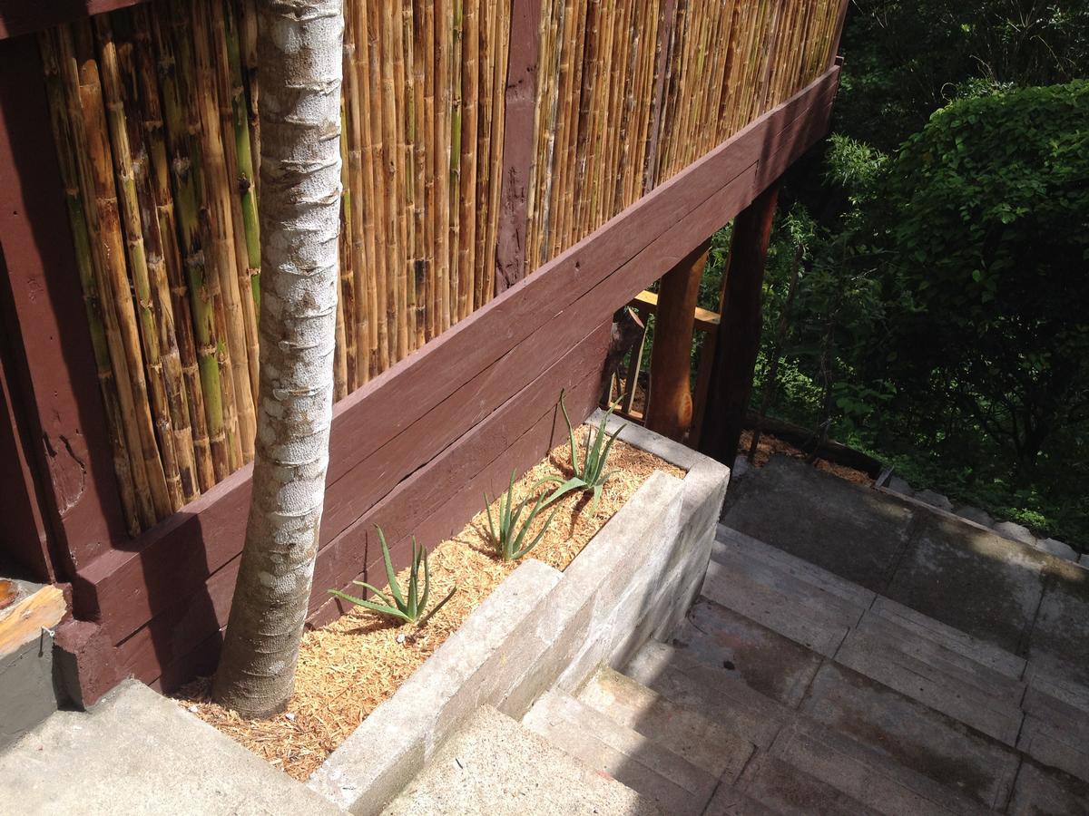 Mamallena Eco Lodge La Laguna de San Carlos Ngoại thất bức ảnh